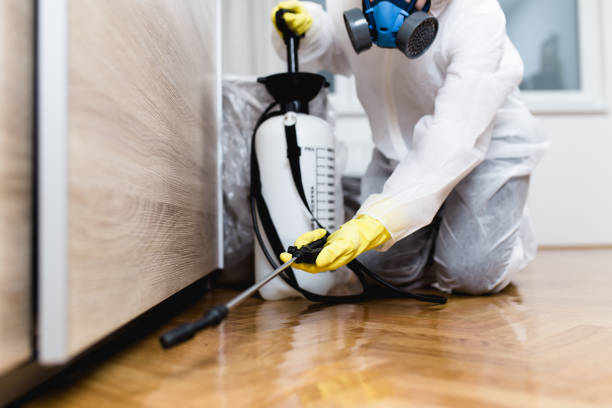 Best Wasp Removal Services  in Reno, OH