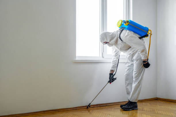 Best Emergency Pest Control  in Reno, OH