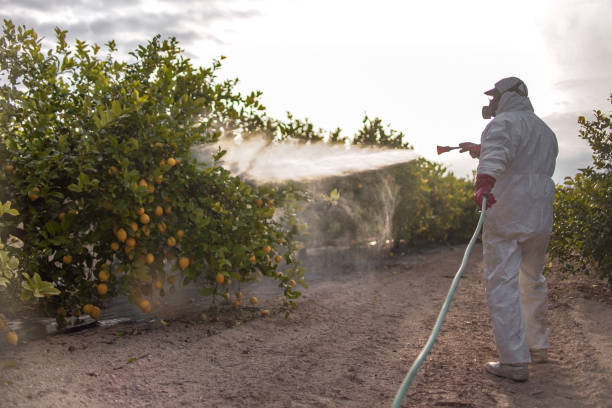 Best Insect Control  in Reno, OH