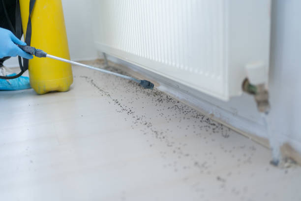 Best Pest Prevention Services  in Reno, OH